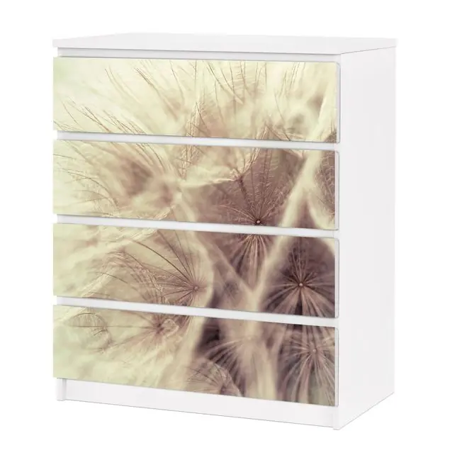 Detailreiche Pusteblumen Makroaufnahme mit Vintage Blur Effekt Möbelfolie für IKEA Malm Garantierte Lieferung