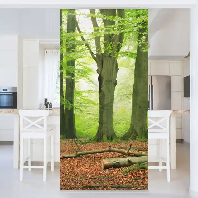 Neu Mighty Beech Trees Raumteiler