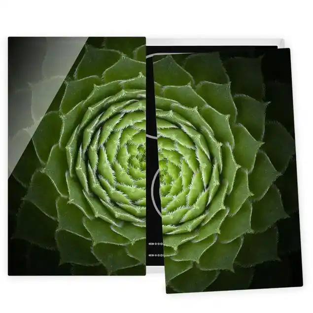 Sonderangebot Mandala Sukkulente 2-teilige Herdabdeckplatte Glas