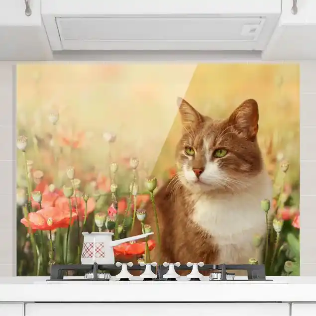 Preiswert Katze im Mohnfeld Spritzschutz