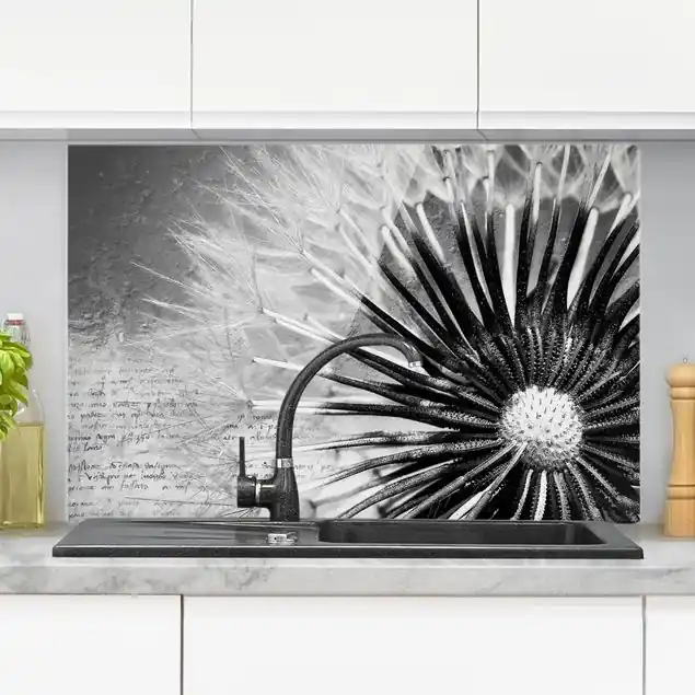 Bestpreis Pusteblume Schwarz & Weiß Glas Spritzschutz - Querformat 3:2