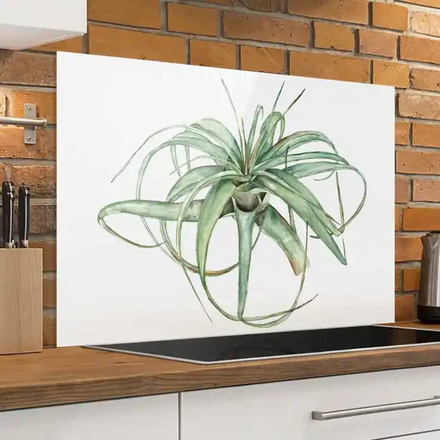 Luftpflanze Aquarell I Glas Spritzschutz - Querformat 3:2 Saisonangebot
