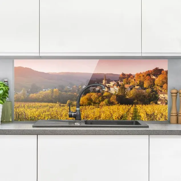 Begrenztes Angebot Weinberge in Frankreich Spritzschutz