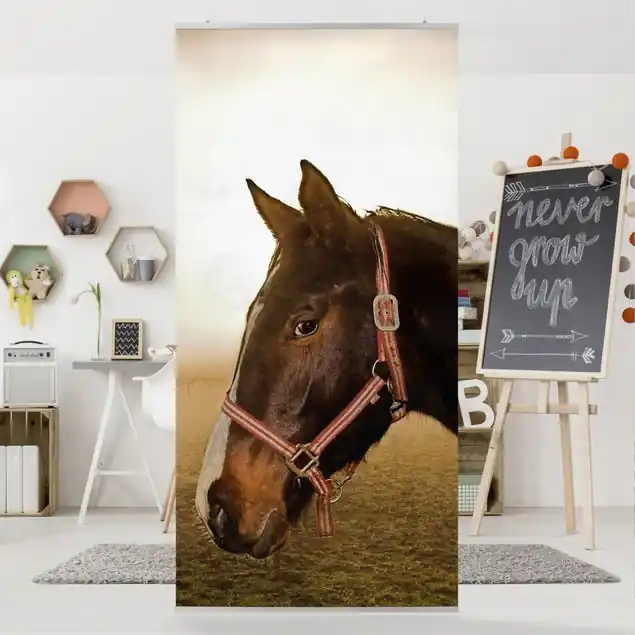 Early Horse Raumteiler Top-Preis