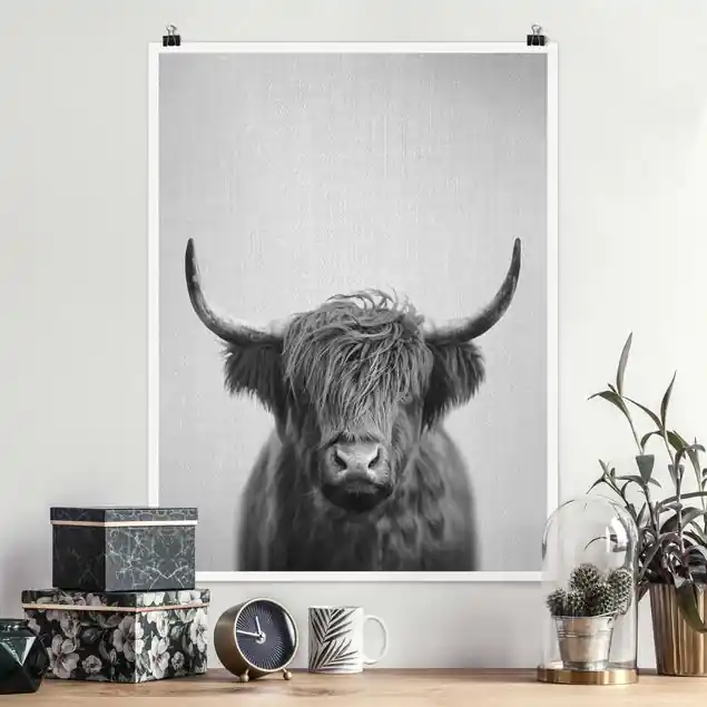 Garantierte Lieferung Hochlandrind Harry Schwarz Weiß Poster