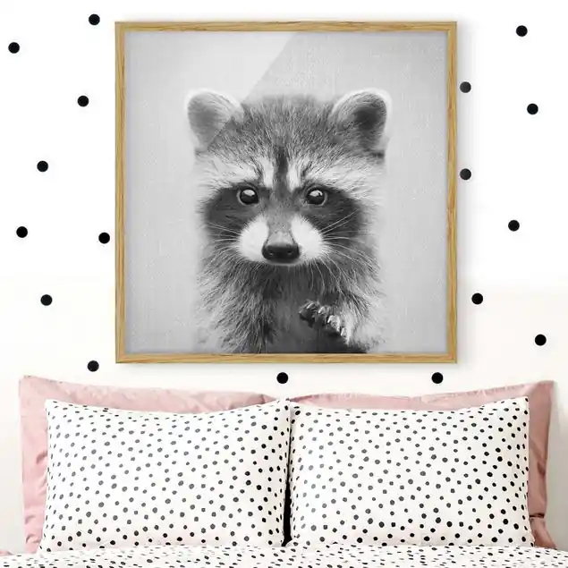 Baby Waschbär Wicky Schwarz Weiß Bild mit Rahmen Aktuell