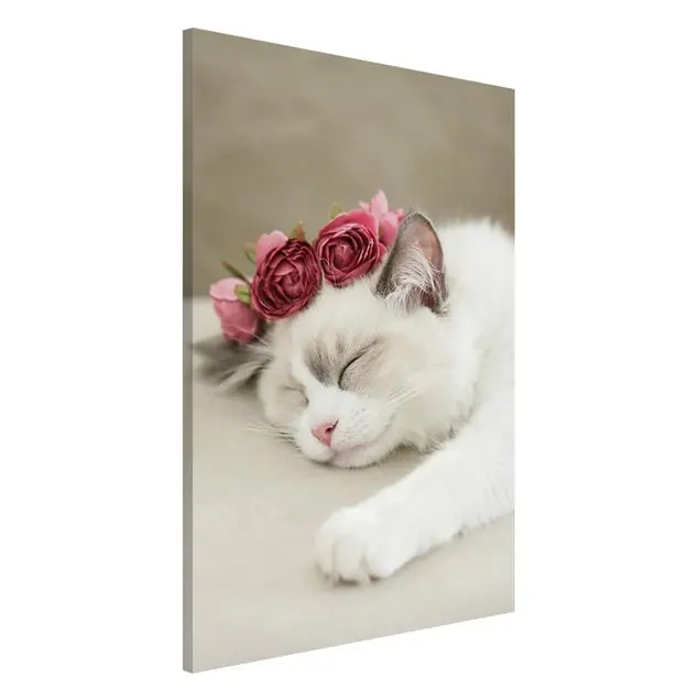 Schlafende Katze mit Rosen Magnettafel Direkt Vom Hersteller