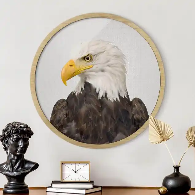 Seeadler Sokrates Rundes Bild mit Rahmen Kracherpreis