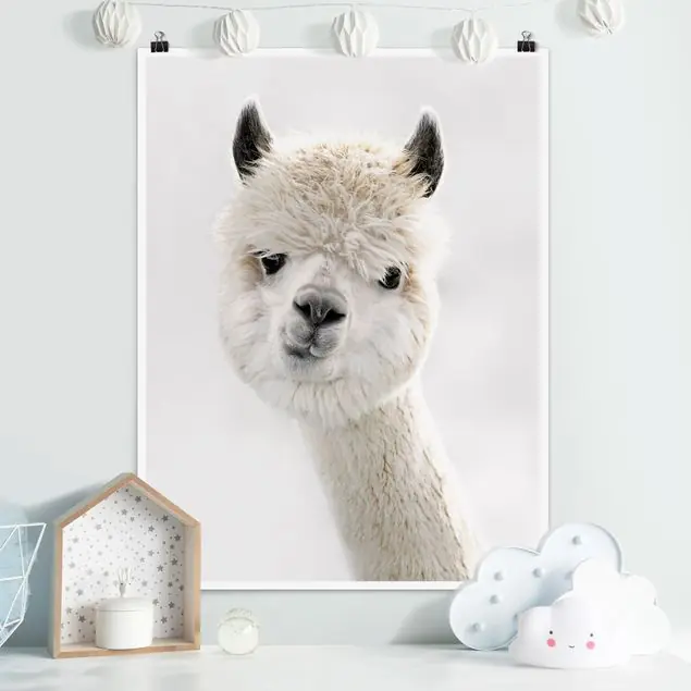 Alpaka Portrait Poster Jetzt Kaufen