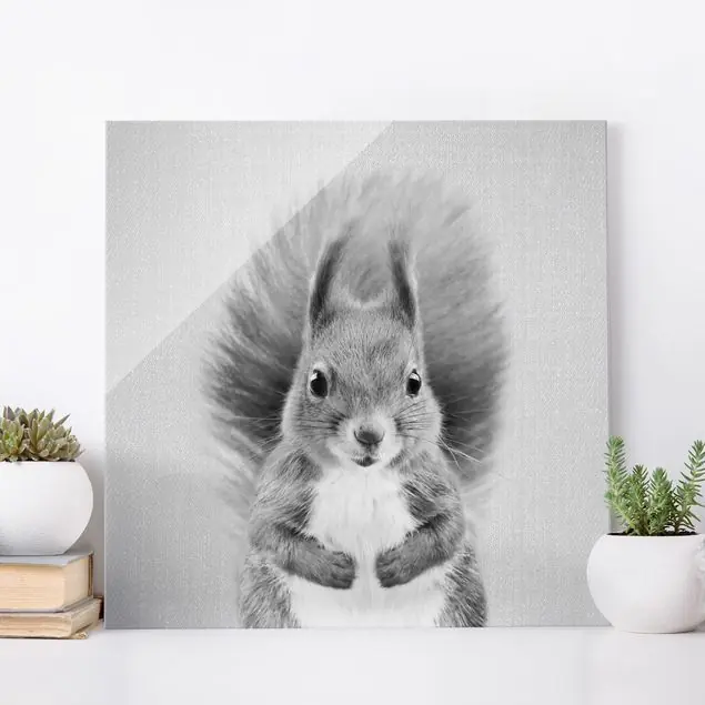 Sale Eichhörnchen Elisabeth Schwarz Weiß Glasbild