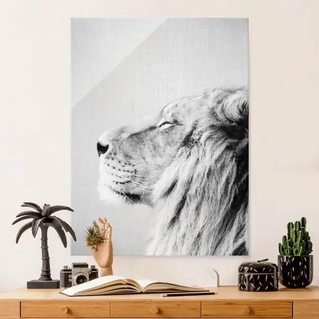 Löwe Leopold Schwarz Weiß Glasbild Versand Am Gleichen Tag
