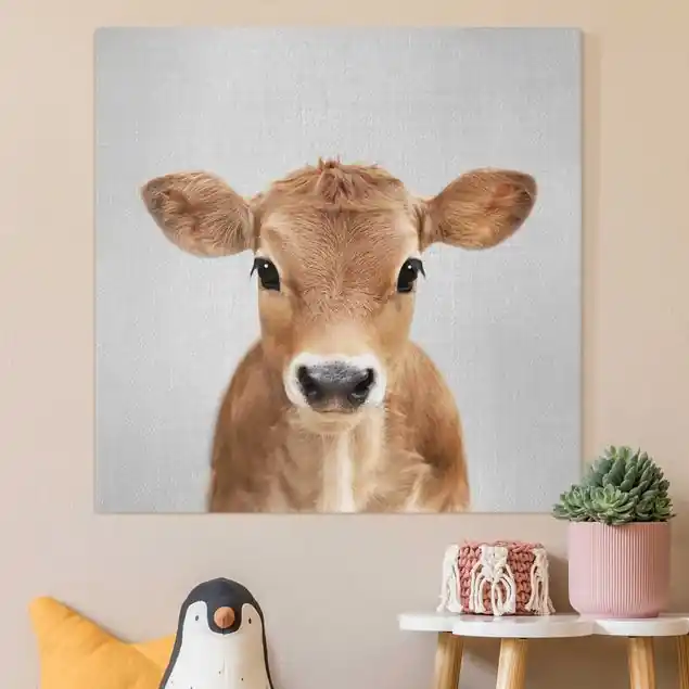 Baby Kuh Kira Leinwandbild – Canvas Begrenztes Angebot