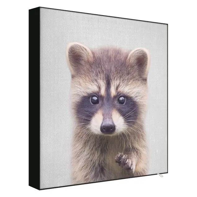 Baby Waschbär Wicky Wechselbild Must-Have