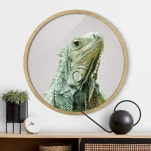 Leguan Louis Rundes Bild mit Rahmen Highlight