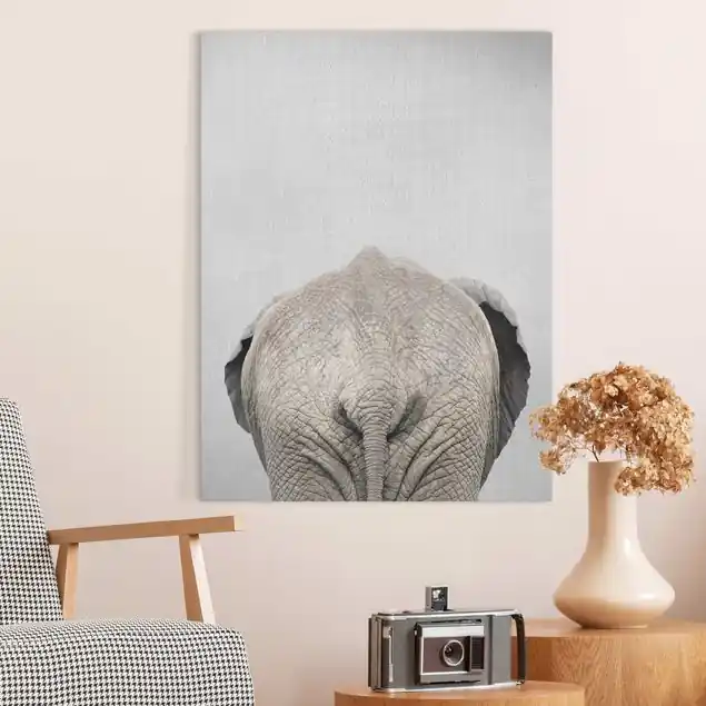 Preis Gesenkt Elefant von hinten Leinwandbild – Canvas