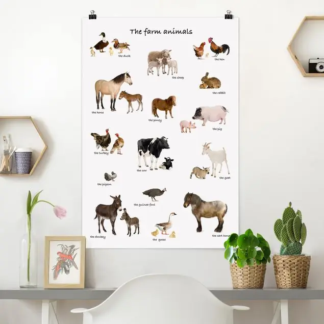 Wochenendangebot Farm Animals Poster - Hochformat