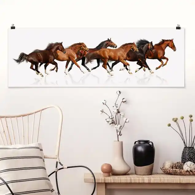 Pferdeherde Panorama Poster Direktkauf