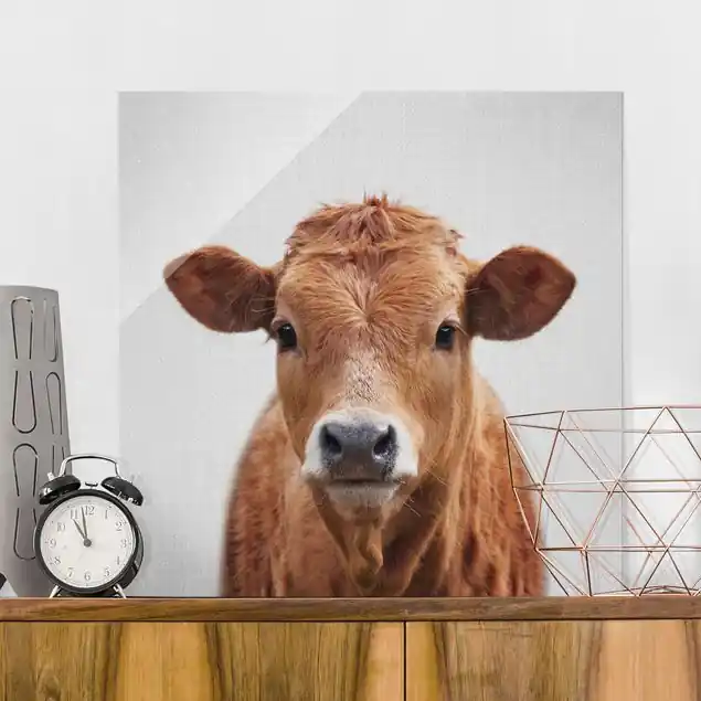 Kuh Kathrin Glasbild Preis Gesenkt