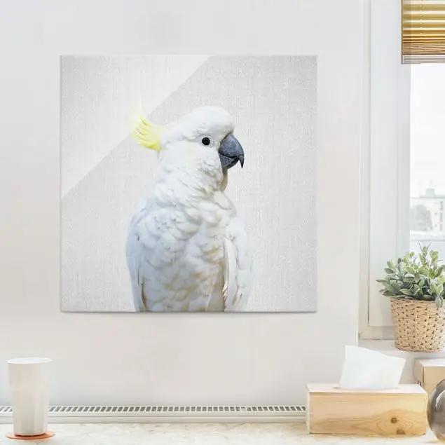 Neu Im Sortiment Kakadu Kiki Glasbild