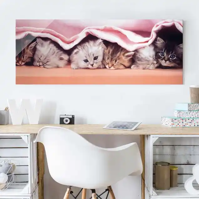 Online Kaufen Sugar-Sweet Glasbild - Panorama
