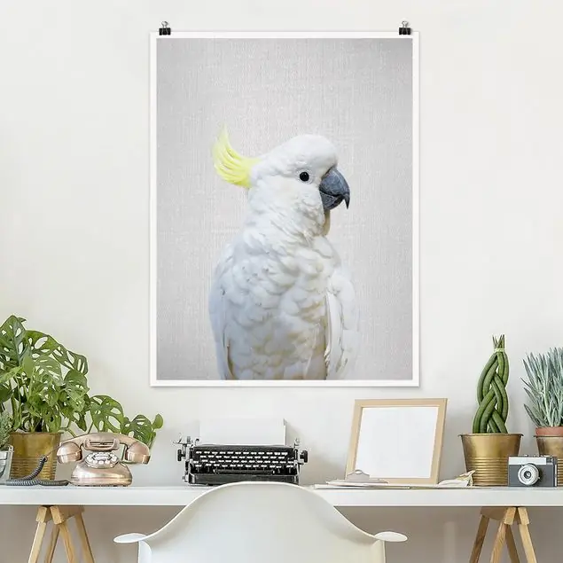 Nur Heute Kakadu Kiki Poster