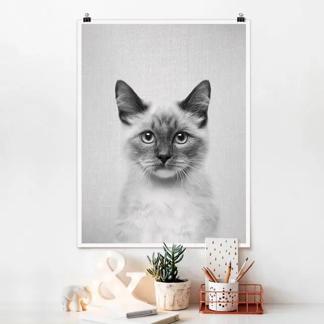 Siamkatze Sibylle Schwarz Weiß Poster Mega-Angebot