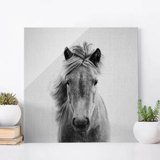Pferd Pauline Schwarz Weiß Glasbild Gratis Versand