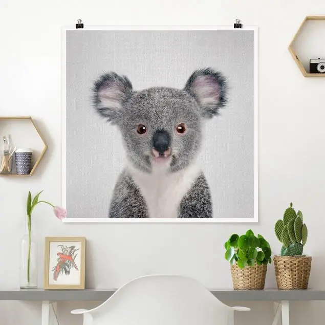 Günstig Baby Koala Klara Poster