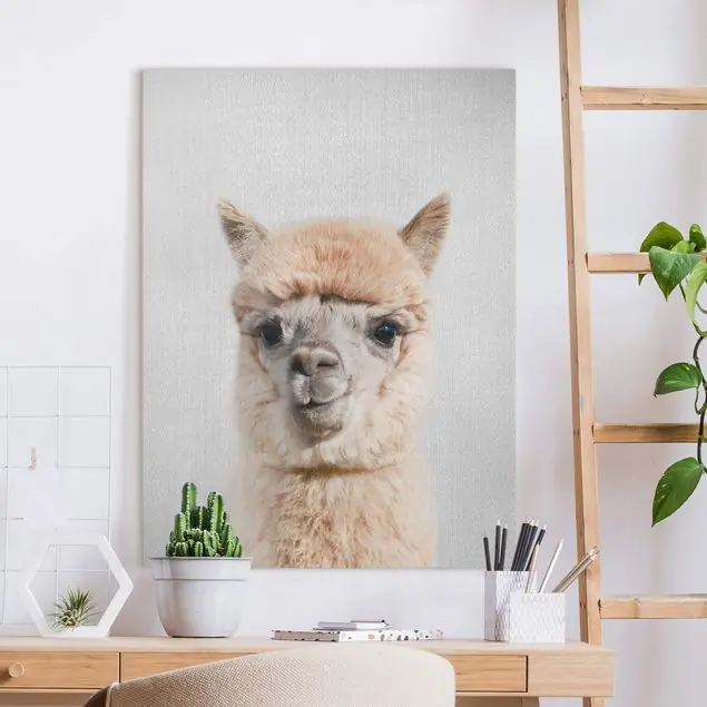 Alpaka Alfred Leinwandbild – Canvas Neue Ware