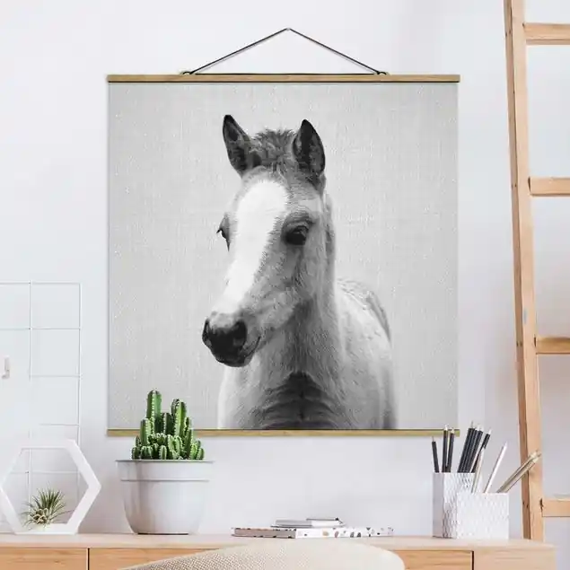 Neu Im Sortiment Baby Pferd Philipp Schwarz Weiß Stoffbild