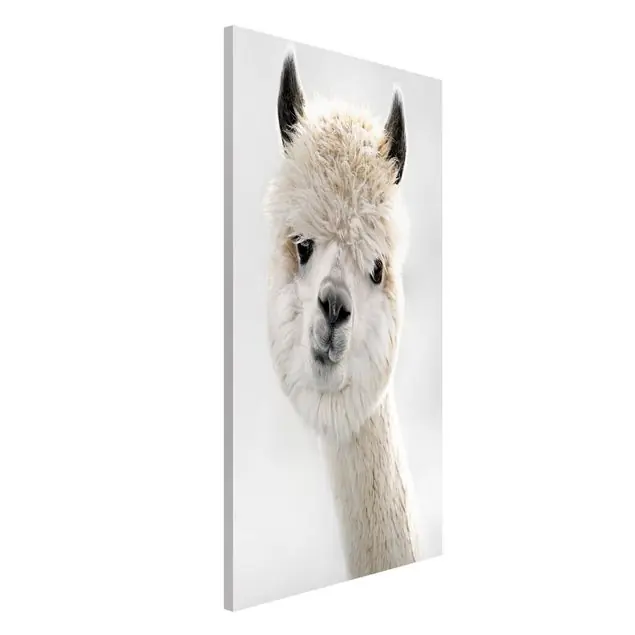 Alpaka Portrait Magnettafel Kostenloser Versand