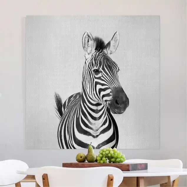Jetzt Bestellen Zebra Zilla Schwarz Weiß Leinwandbild – Canvas