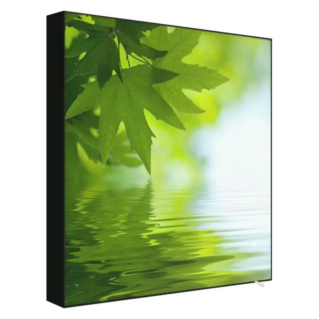 Letzte Chance Green Ambiance III Wechselbild