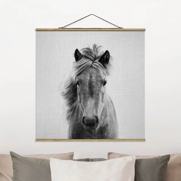 Top-Angebot Pferd Pauline Schwarz Weiß Stoffbild