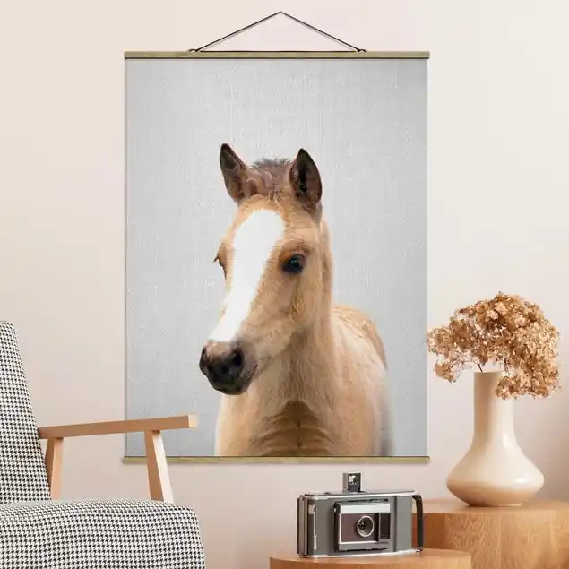 Sofort Bestellen Baby Pferd Philipp Stoffbild