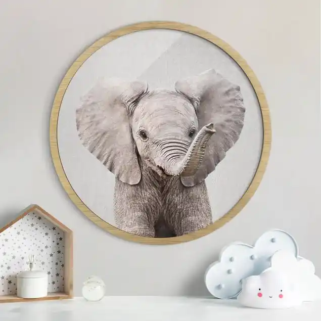 Finale Aktion Baby Elefant Elsa Rundes Bild mit Rahmen