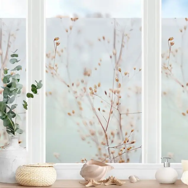 Pastellknospen am Wildblumenzweig Fensterfolie Letzte Chance