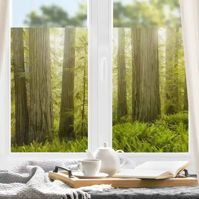 Redwood State Park Waldblick Fensterfolie Markenprodukt