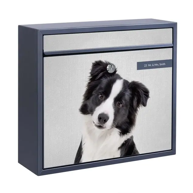 Bordercollie Benni Briefkasten mit eigenem Text Kostenfreie Lieferung