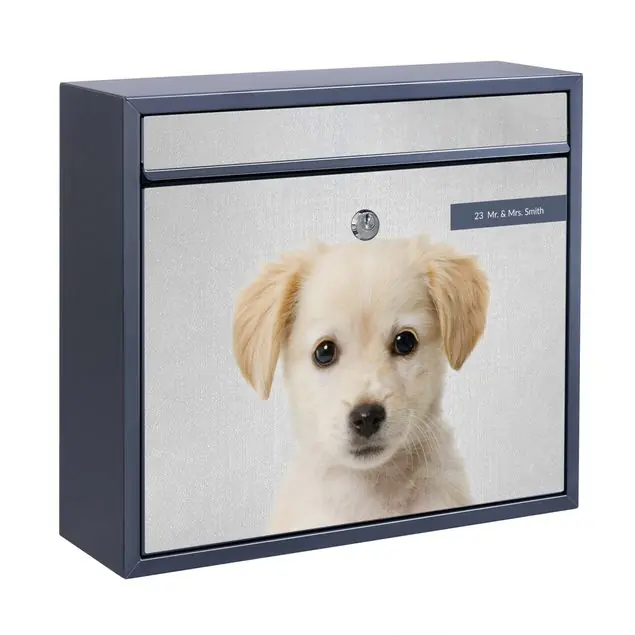 Baby Golden Retriever Gizmo Briefkasten mit eigenem Text Must-Have