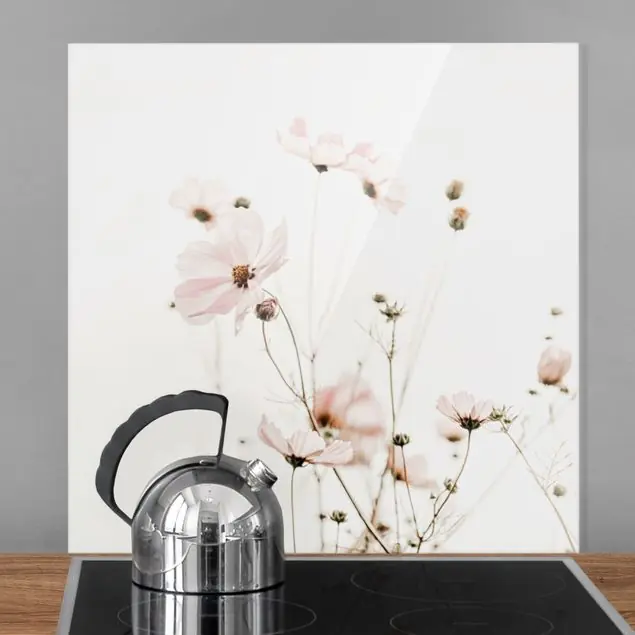 Cosmea in zarten Cremetönen Spritzschutz Top-Angebot