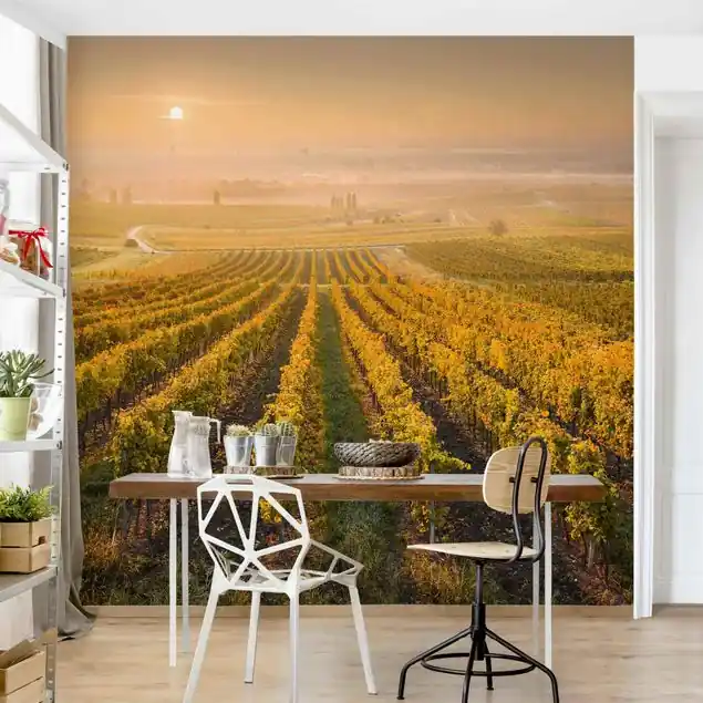 Neu Im Sortiment Herbstliche Weinberge bei Wien Fototapete Vlies • inkl. Kleister • hergestellt in Deutschland