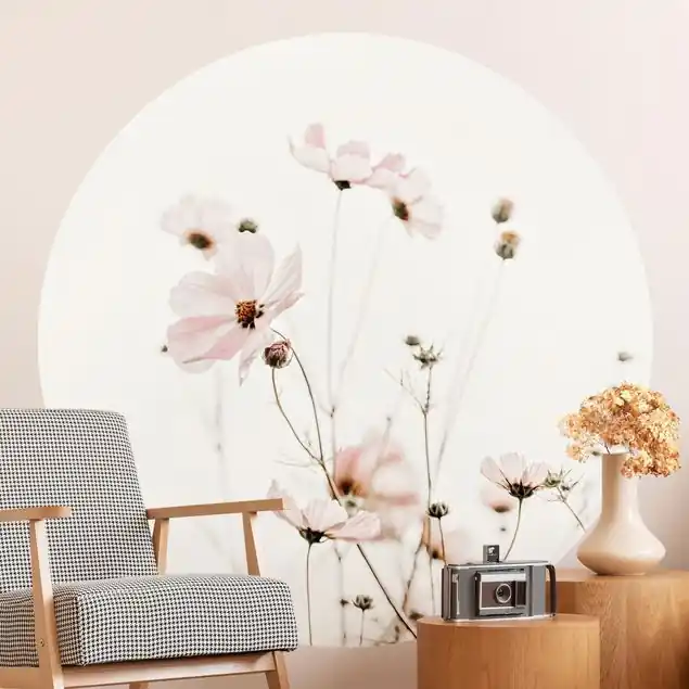 Cosmea in zarten Cremetönen Runde Fototapete Preis Gesenkt