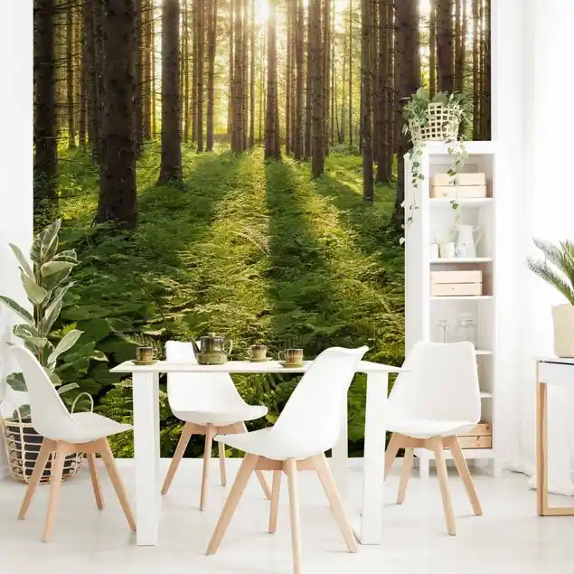 Sonnenstrahlen in grünem Wald Fototapete Vlies • inkl. Kleister • hergestellt in Deutschland Preisreduziert