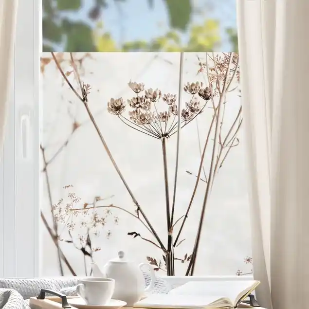 Bestpreis Trockenblume im Lichtspiel Fensterfolie