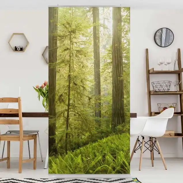 Redwood State Park Waldblick Raumteiler Preisknaller