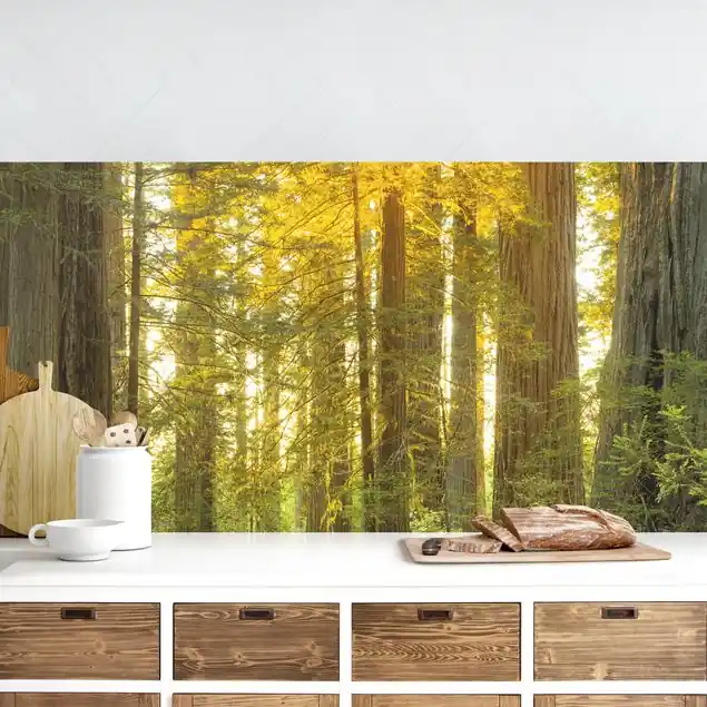 Heißes Angebot Redwood National Park Küchenrückwand • selbstklebend • Spritzschutz • wasserfest • glänzend • 0,35 mm • hergestellt in Deutschland