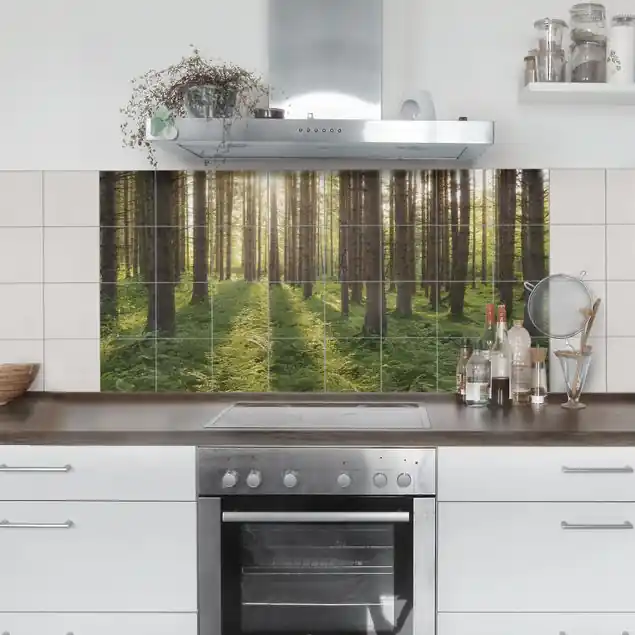Sonnenstrahlen im Grünem Wald                               Fliesenbild - Querformat Sofort Bestellen