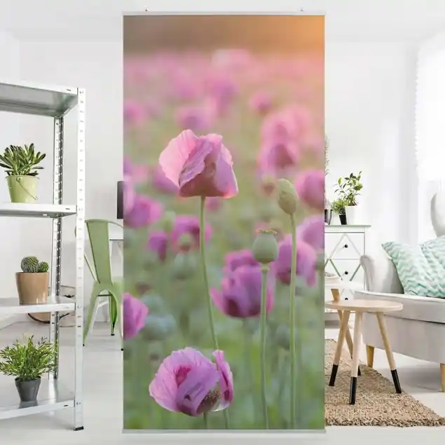 Violette Schlafmohn Blumenwiese im Frühling Raumteiler Schneller Versand