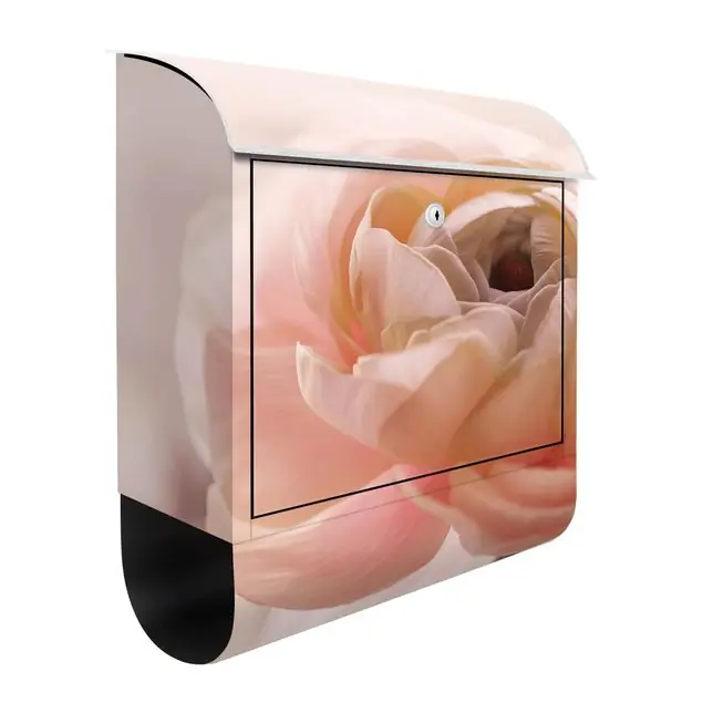 Geprüft Rosa Blüte im Fokus Briefkasten